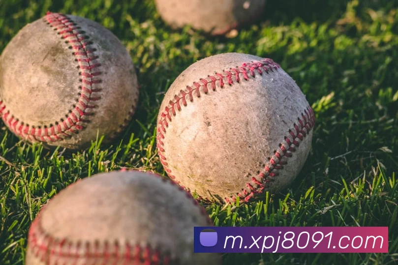 澳门新葡京网站入口平台生态图