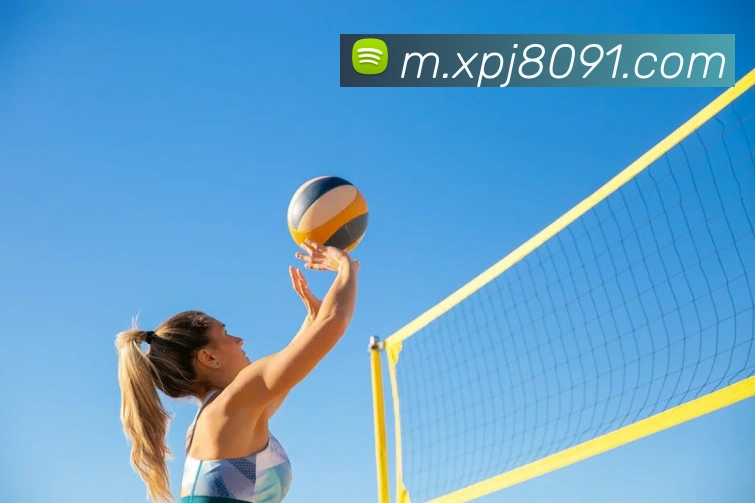 澳门新葡京网站入口全站App